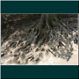 P1000699WhatsApp Image 2024-06-11 at 09.48.19(1).jpg